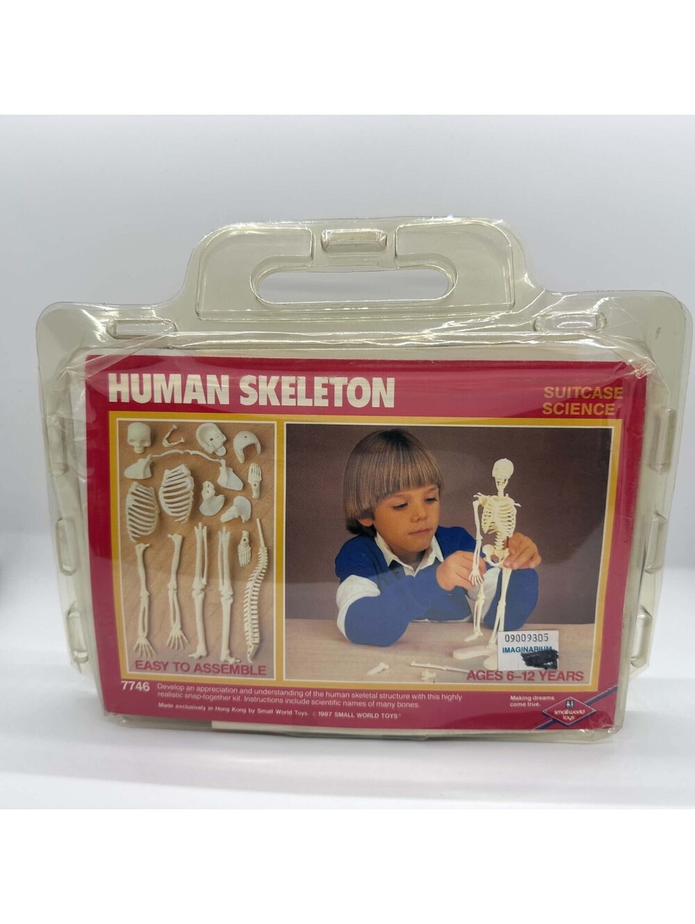 Vintage 1987 Small World Toys Human Skeleton Suitcase Science Kit 7746 New